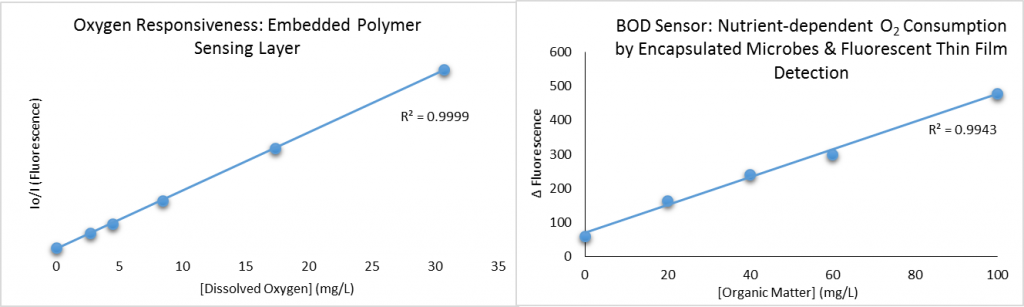 Luna’s BOD sensor utilizes a fluorescent oxygen-sensitive polymer thin film and encapsulated microorganisms. Here, we demonstrate the linear sensitivity of the sensing film in water samples of relevant dissolved oxygen concentrations (left), as well as an organic content-dependent response of the microbes as determined by oxygen consumption and detected with the thin film (right).