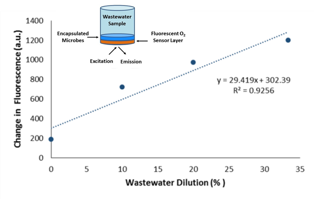 By diluting wastewater samples acquired at a local treatment facility, Luna is artificially changing the concentration of organic matter. Here, the change in fluorescence intensity of our sensor is directly related to the BOD, with concurrent standards indicating approximately 14 mg/L BOD in the wastewater, correlating precisely with results using the standard method, BOD5