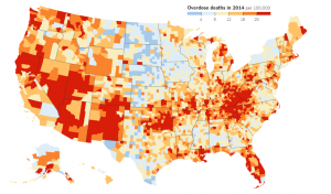 Figure 1: Overdose deaths from painkillers or heroin, per 100,000 people. Source: New York Times 