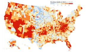 Figure 1: Overdose deaths from painkillers or heroin, per 100,000 people. Source: New York Times