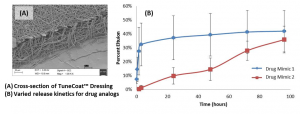 Figure 2: (A) Cross-section of Luna’s TuneCoat™ dressing. These dressings are unique nanofiber mats capable of delivering different therapeutics simultaneously, with individually controlled release kinetics.  As demonstrated in (B), different drug analogs show burst- and zero-order release kinetics from the same dressing.